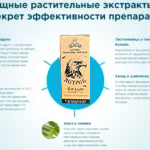 Состав средства Ястреб